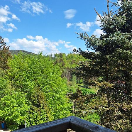 Haus Westharz Goslar Appartement Bad Grund Buitenkant foto