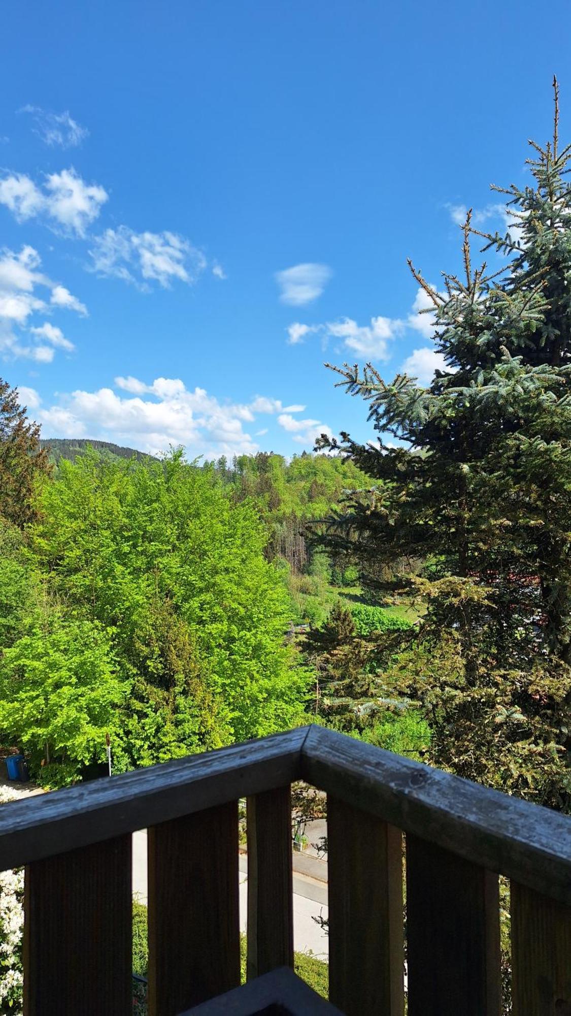 Haus Westharz Goslar Appartement Bad Grund Buitenkant foto