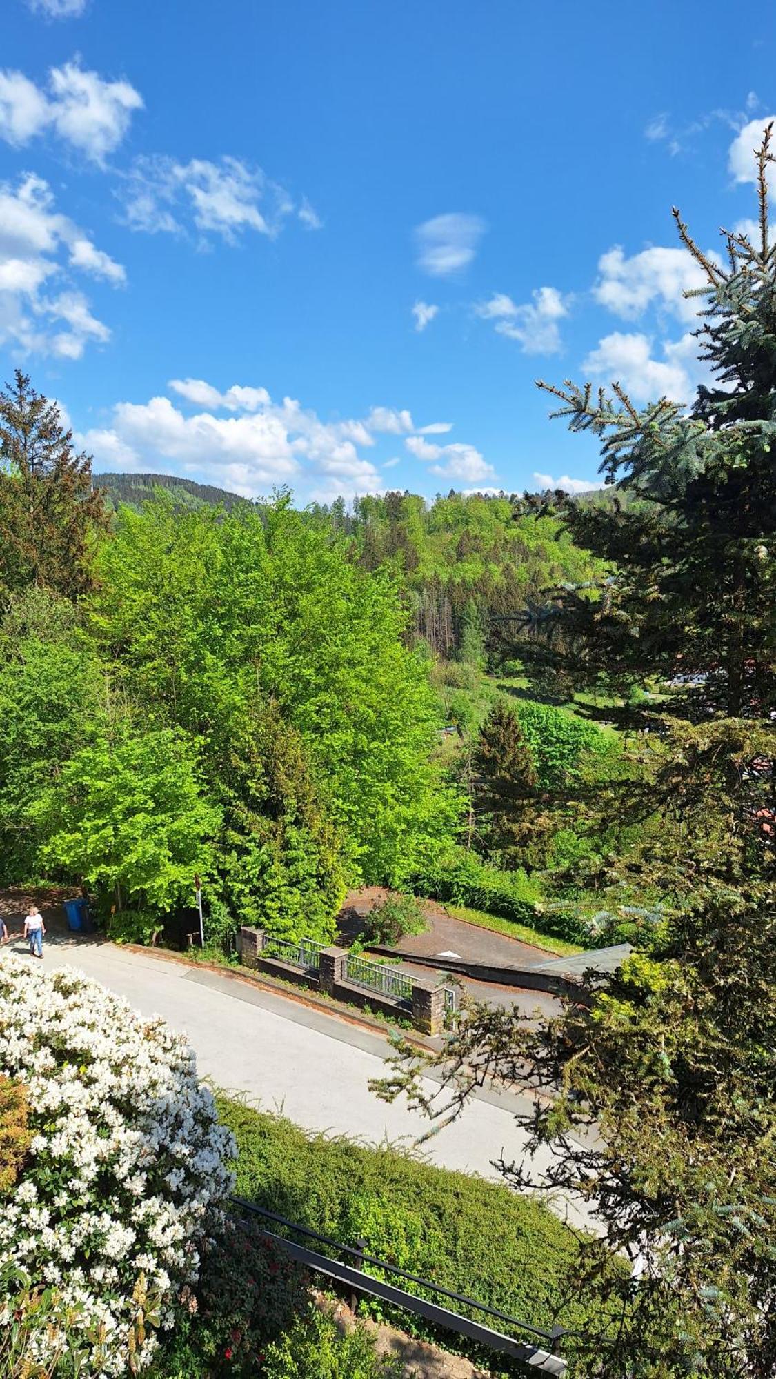 Haus Westharz Goslar Appartement Bad Grund Buitenkant foto
